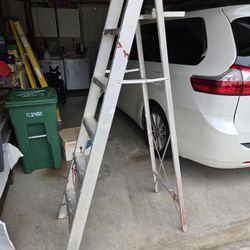 Sears 6 ft Aluminum Ladder