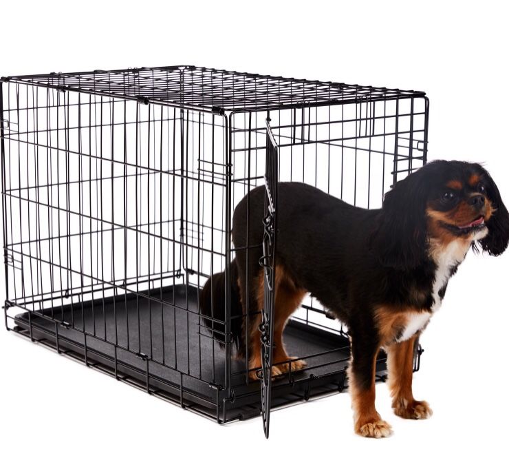 Dog crate / for medium dogs