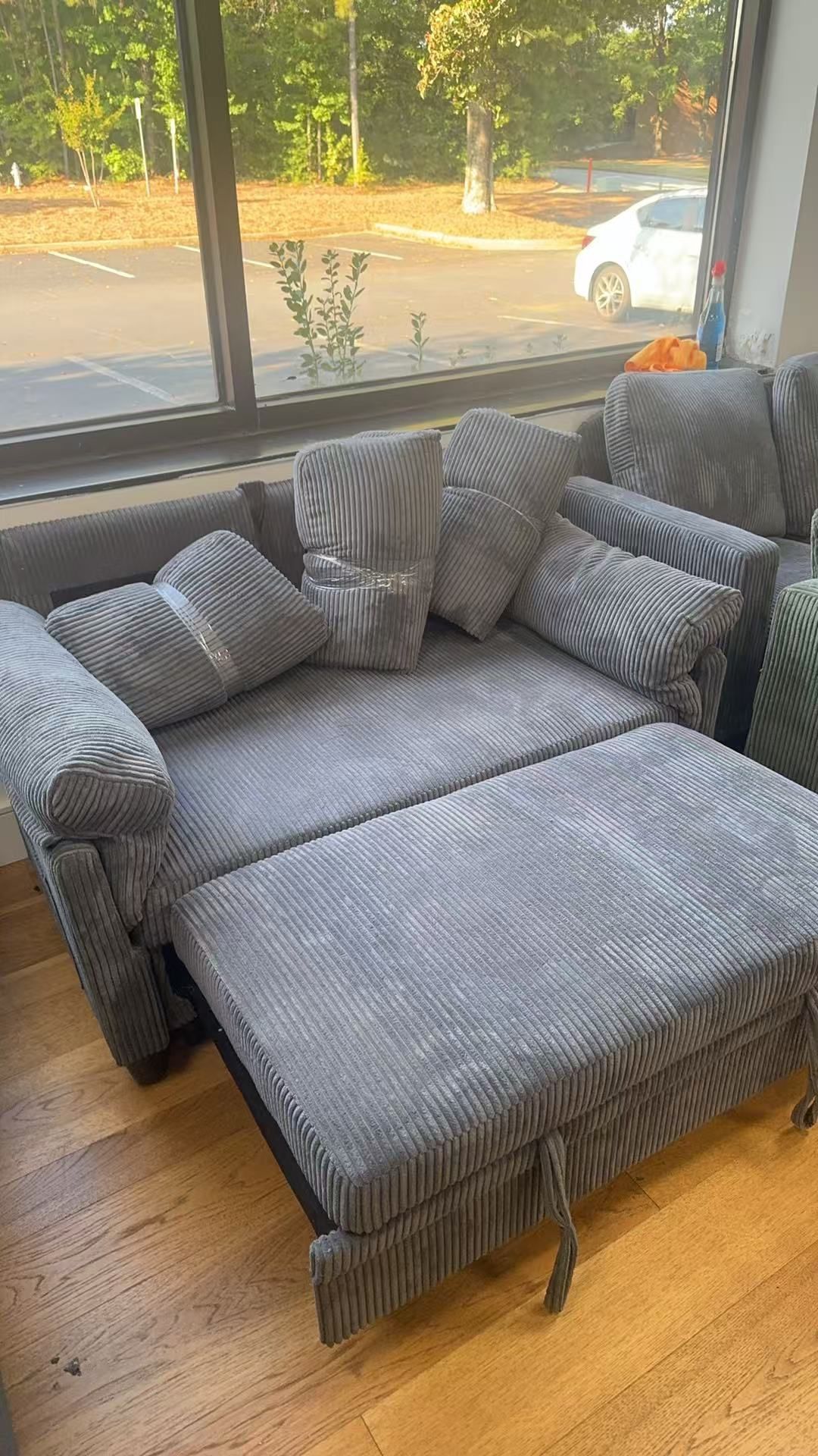 Sleeper Sofa 