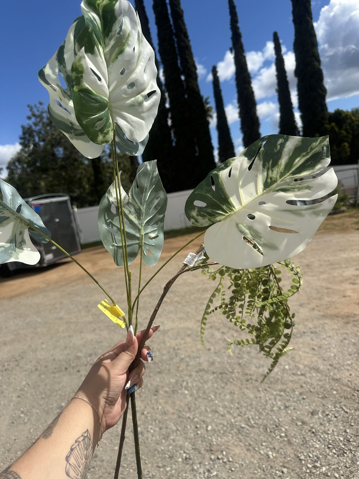 Fake Plastic Plants