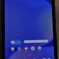 Samsung Galaxy Tab S10 Plus With Case