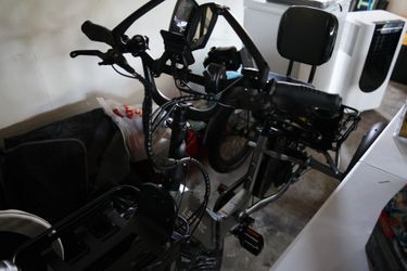 Lectric electric trike