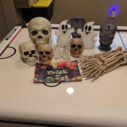 Indoor/ Outdoor Halloween Decorations
