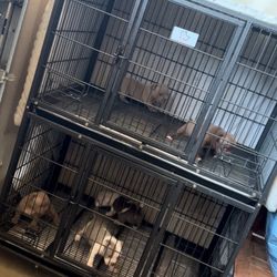 Double Stacked Dog Cage 