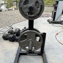 Workout Plate Weights with Stand And Tricep Hammer Curl Bar