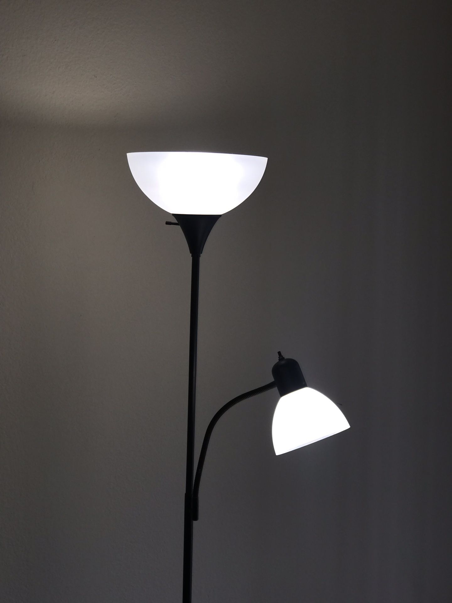 Floor Lamp Double Light