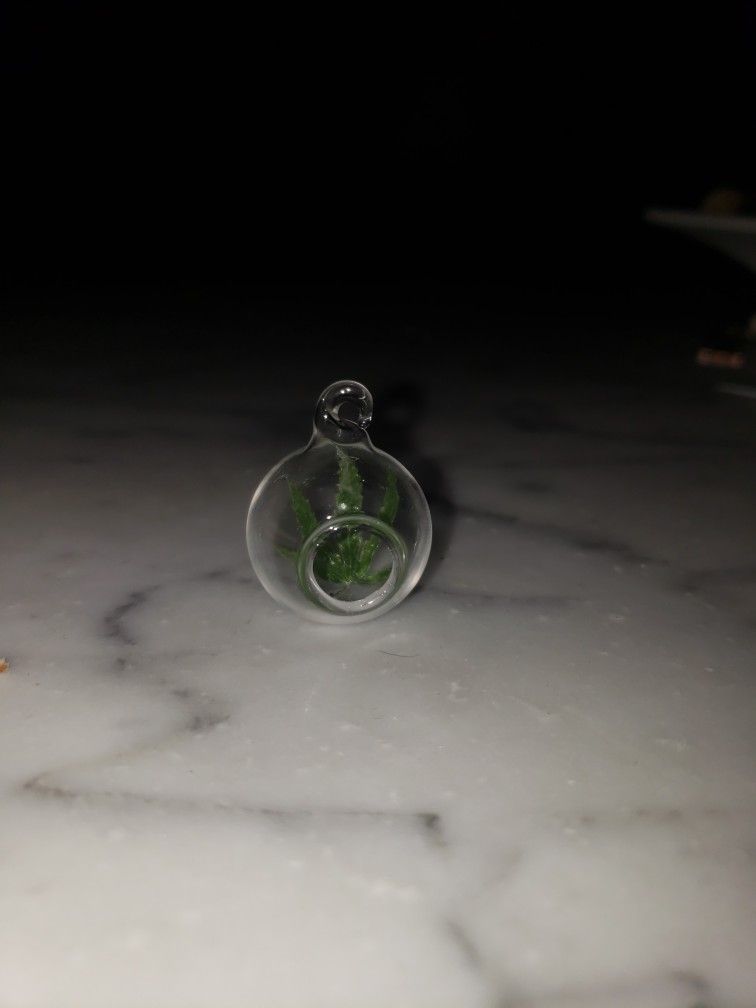 Rare marijuana leaf Glass Pendant