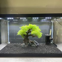 10 Gallon Aquarium Fish Tank Complete