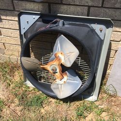 Fan