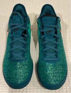 Nike Zoom Lebron NXXT GEN Basketball Shoe  -  size 14