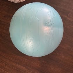 Work Out Ball