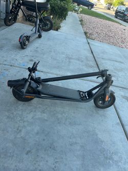 Scoter