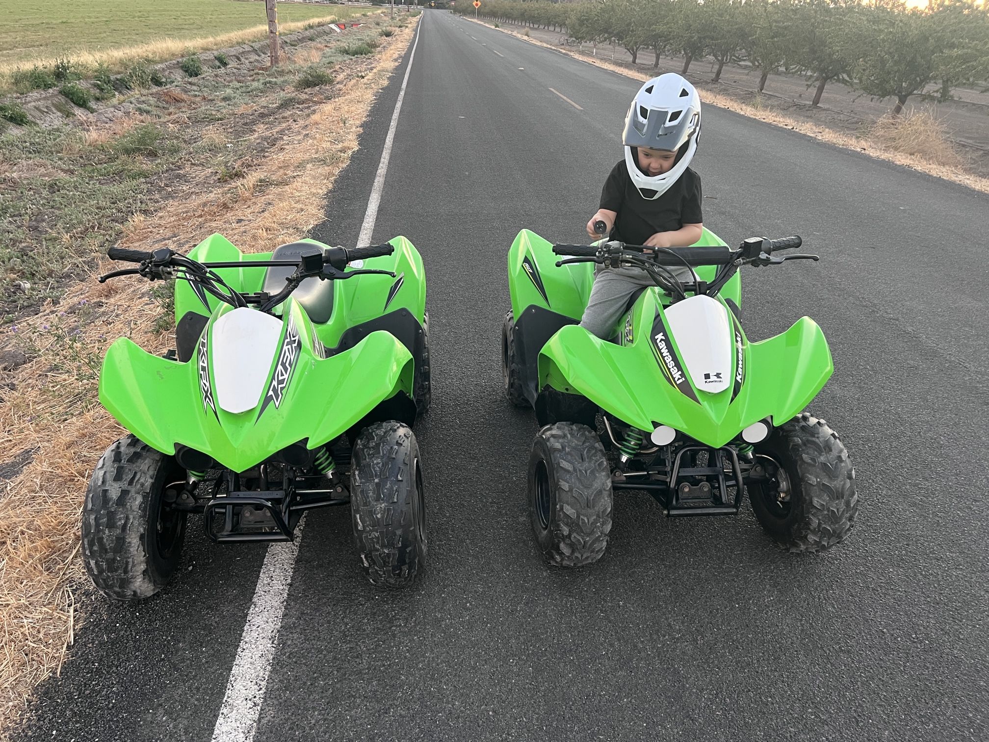 2019 Kawasaki Kfx50 And 2017 Kawasaki Kfx 90