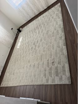 Carpet $100