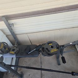 Gold Gym Barbell