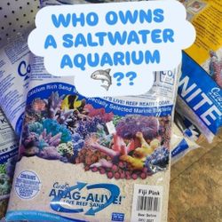 Saltwater Fish 12-14 Inches 