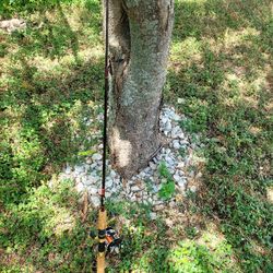 Fishing Rod And Reel