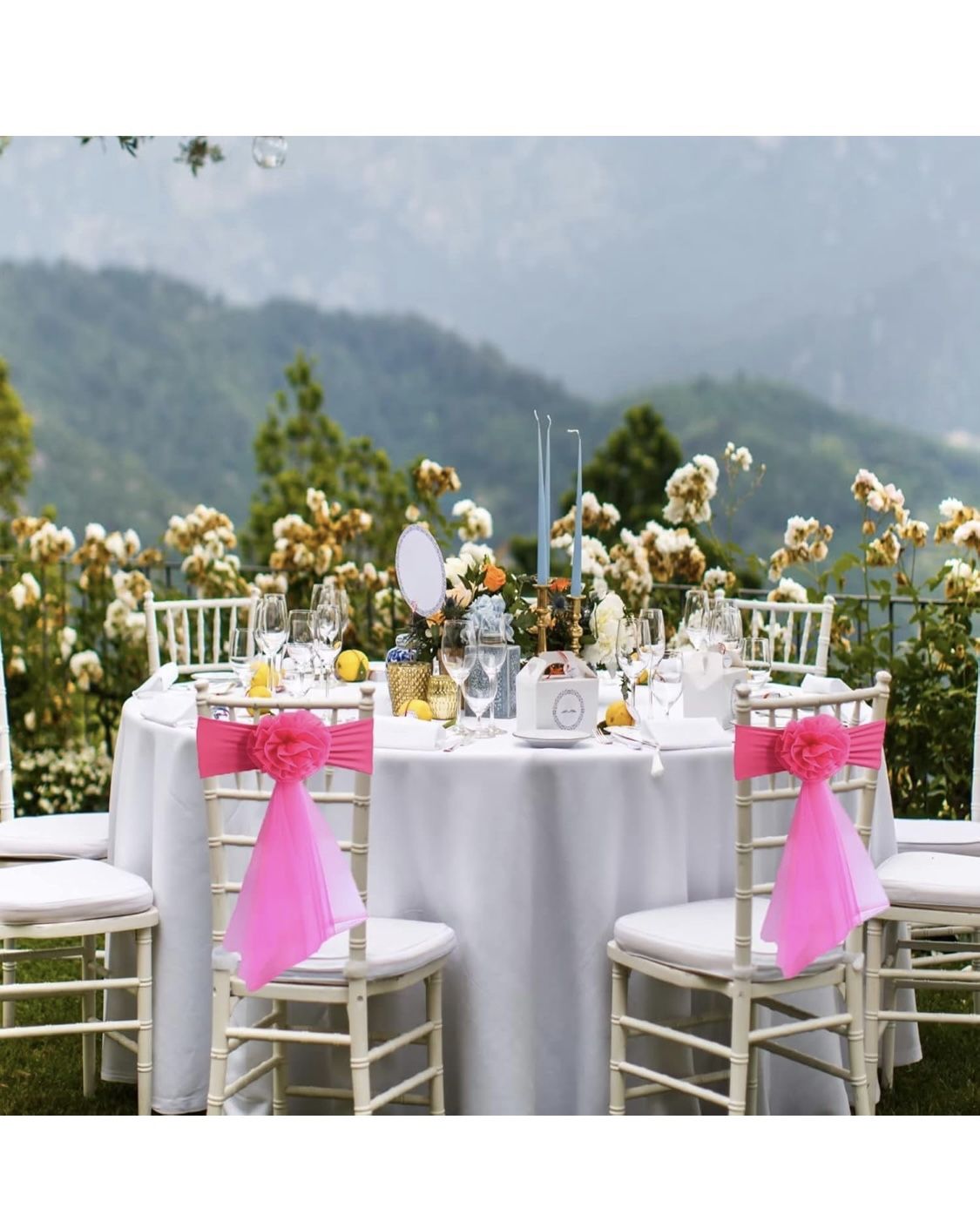 Pack of 10 Flowers Organza Stretch Chair Sashes for Romantic Wedding Holiday Party Celebration Birthdays Chair Decorations (Rose, 10pcs)