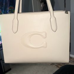 Authentic Bag And Wristlet