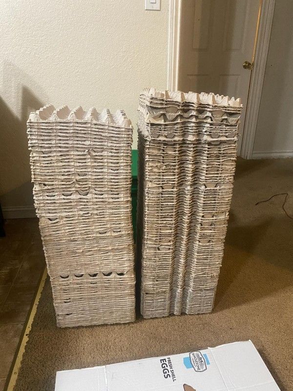 Egg Crates Flats & Boxes