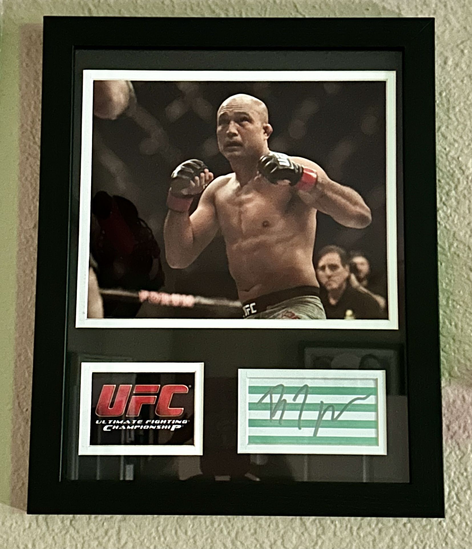 UFC BJ Pen