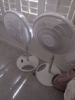 Fans