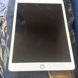 Apple Tablet 
