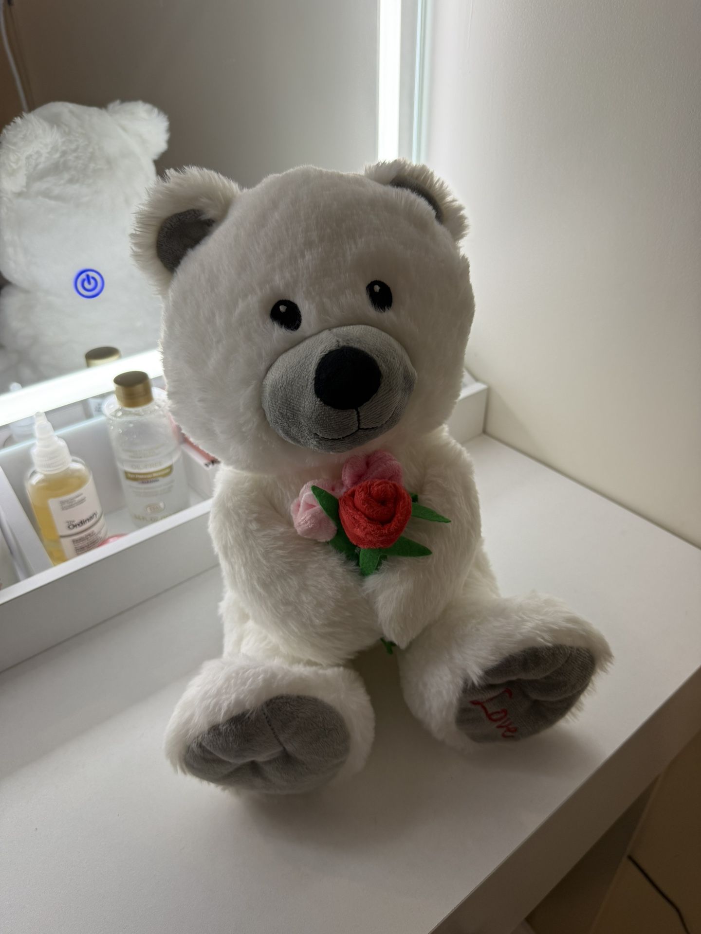 White Plush Teddy Bear