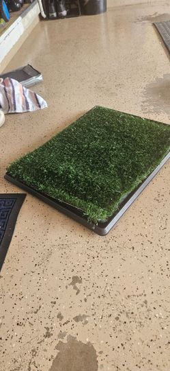 Dog pee turf