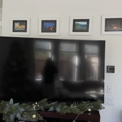 65 Inch JVC Display / Excellent Condition