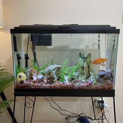 30 Gallon fish tank kit