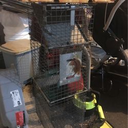 Animal Trap