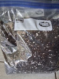 Soil With Added Perlite