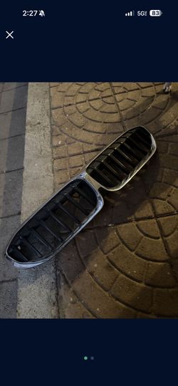 2021 BMW Front Grill 