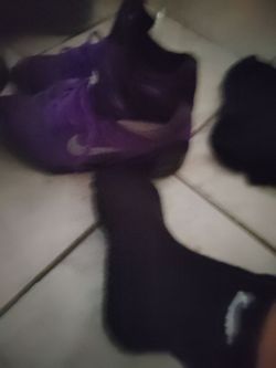 Kobe Bryant 250 I'm selling them a little bit used