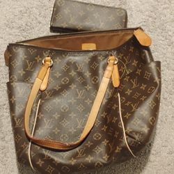 Louis Vuitton Pocket Book & Purse Combo 