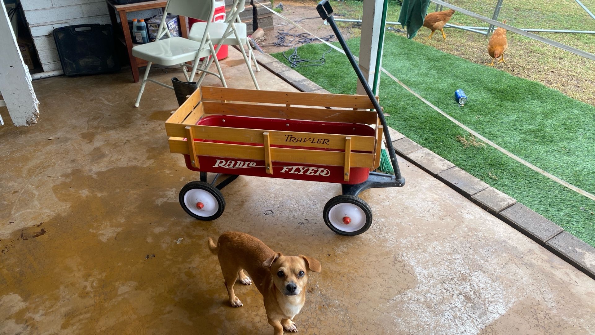 Radio Flyer Wagon