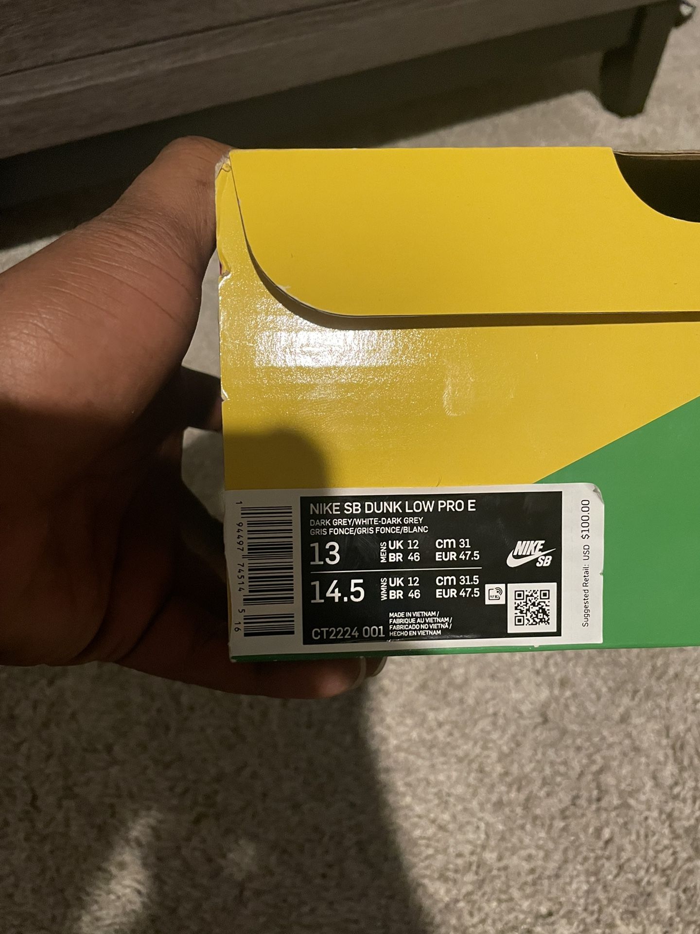 NIKE SB Dunk Low Pro E