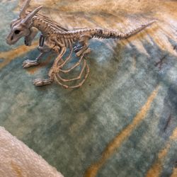 Skull Dragon Decoration 