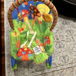 Infant to Toddler Baby Rocker
