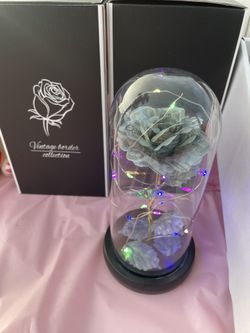 Valentines Money Flower Domes