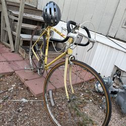 Sears, Roebuck And Co Bike