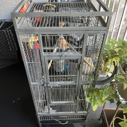 Birdcage
