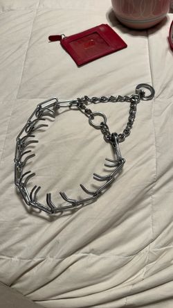 Metal dog collar