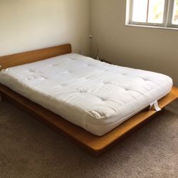 Only the Futon Mattress 