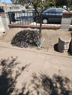 Free dirt