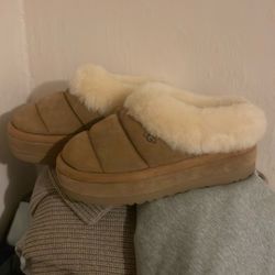 Uggs 