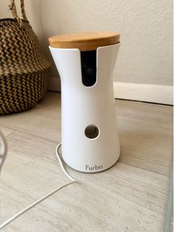 Furbo