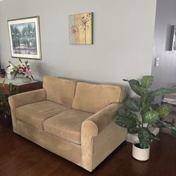 Light Yellow Couch