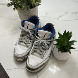 Jordan 3s True Blue